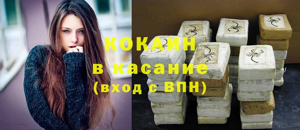 гидра Белокуриха