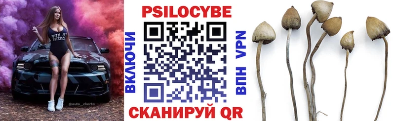 Псилоцибиновые грибы мицелий  Кондрово 